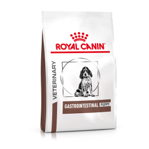 Gastrointestinal Tract - Gastro Intestinal Puppy Dog