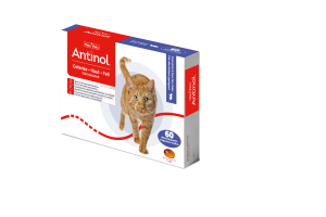 Antinol Cat Kapseln