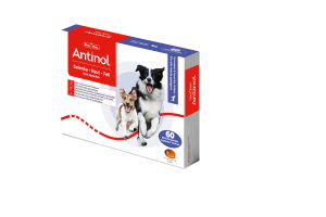 Antinol Dog Kapseln