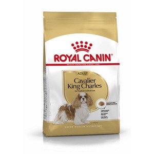 Breed Nutrition - Cavalier King Charles Adult
