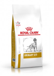 Urinary - Urinary S/O Dog
